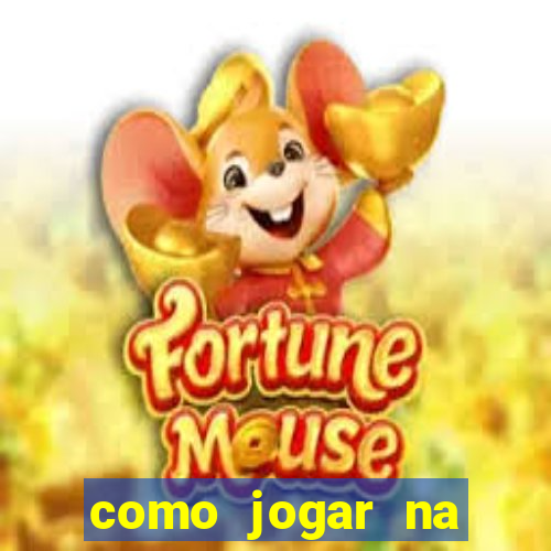 como jogar na teimosinha da lotofacil